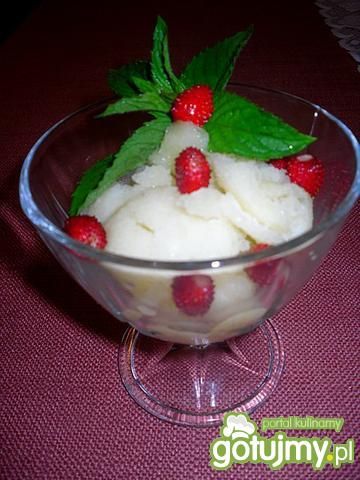 Sorbet jabłkowo - miętowy Sorbet jabłkowo - miętowy