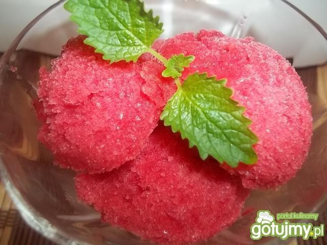 Sorbet malinowy wg Beatris  Sorbet malinowy wg Beatris