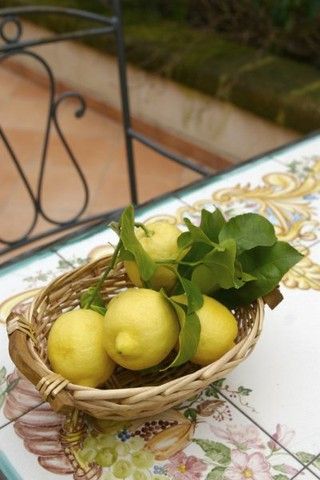 Sorbet z gruszek i cytryn Sorbet z gruszek i cytryn