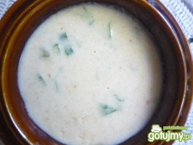 Sos chlebowo czosnkowy Sos chlebowo czosnkowy