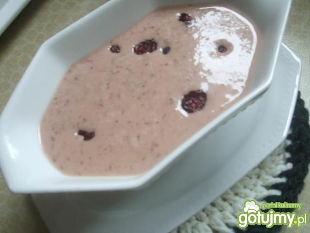 Sos do mięs z suszonej żurawiny Dorci