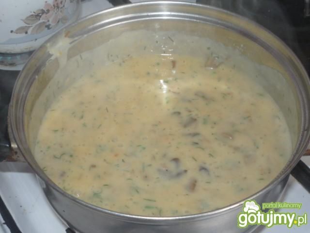 Sos grzybowy Gosi Sos grzybowy Gosi