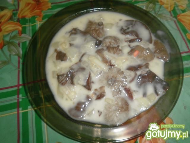 Sos grzybowy z podpinek Sos grzybowy z podpinek