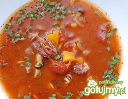 sos o smaku pomaranczy sos o smaku pomaranczy