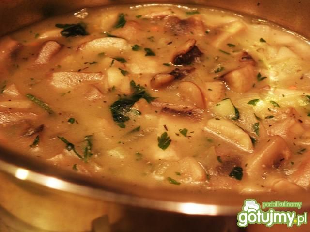 Sos pieczarkowywg Msewki Sos pieczarkowywg Msewki