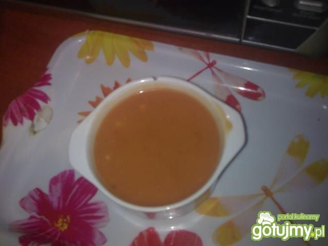 Sos pomidorowy, Sos pomidorowy,