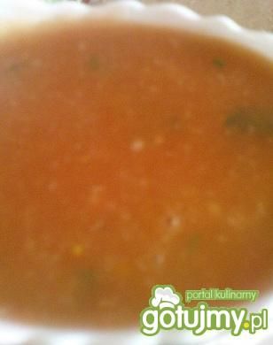 Sos pomidorowy wg motorek70