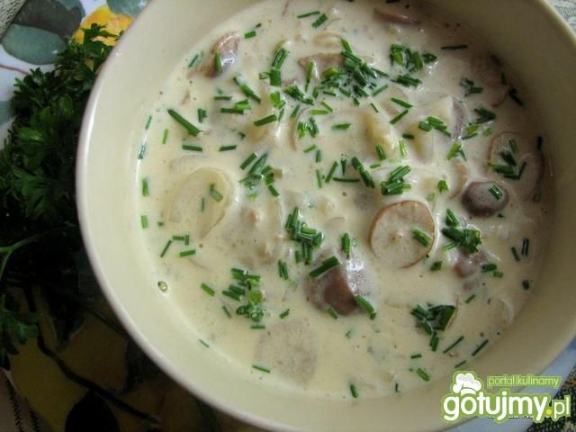 Sos z twardzioszków przydrożnych Sos z twardzioszków przydrożnych