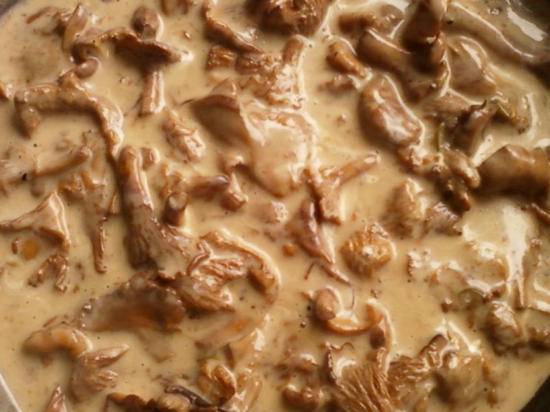 Sos ze świeżych kurek