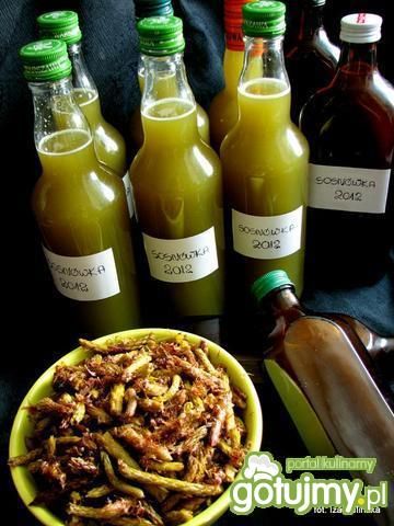 Sosnówka  - nalewka na pędach