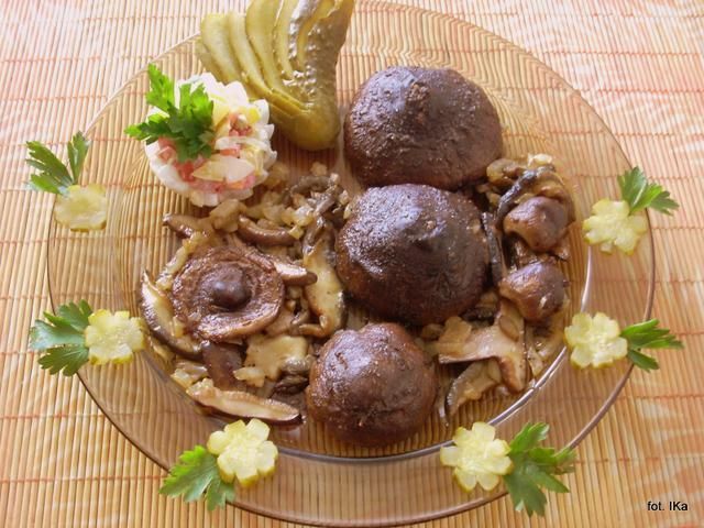 Sówki z kaszą Sówki z kaszą