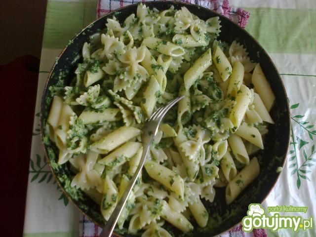 Spaghetti ze szpinakiem 4 Spaghetti ze szpinakiem 4