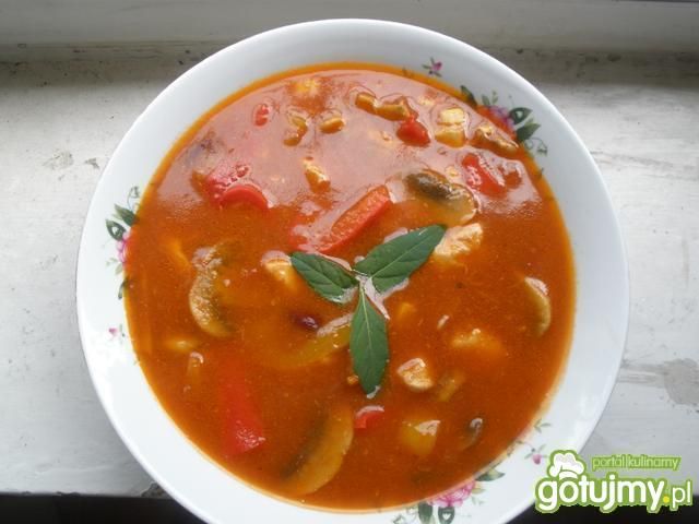 Stroganoff po meksykańsku Stroganoff po meksykańsku