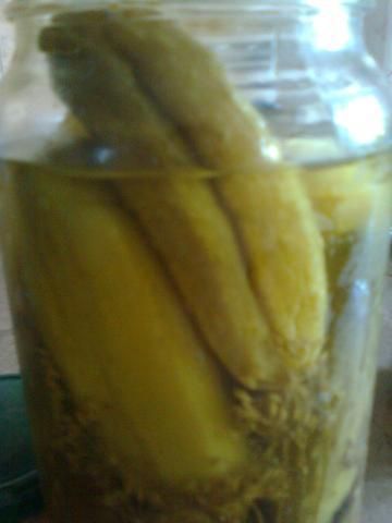 Suróweczka z korniszonów