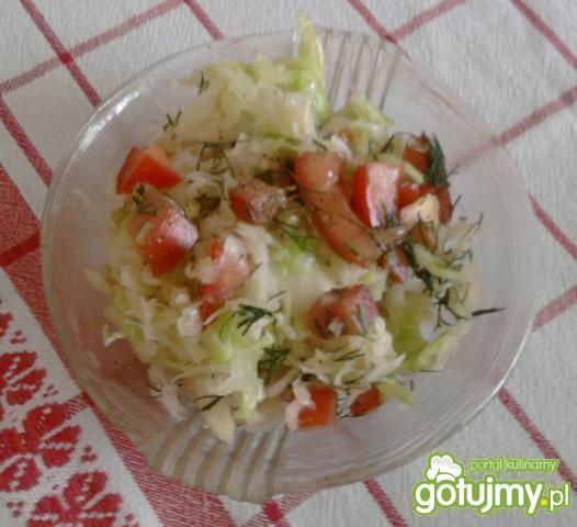 Surówka kapusty pekińskiej Surówka kapusty pekińskiej