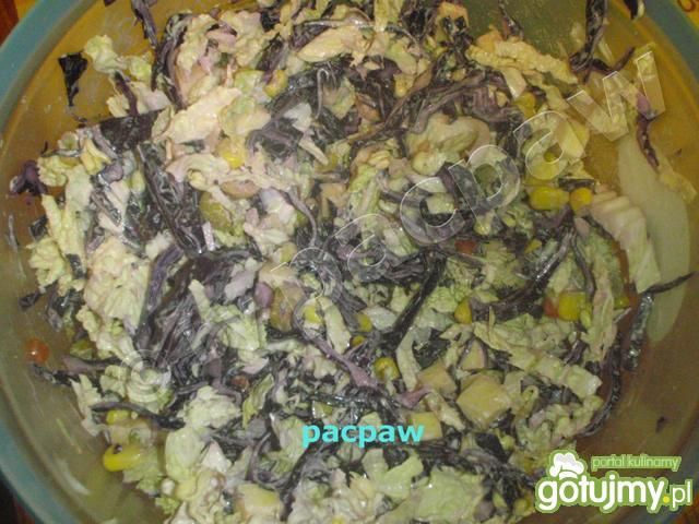 Surówka kolorowa Emi 