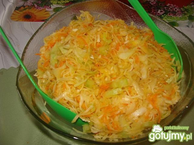 Surówka z białej kapusty i marchewki 