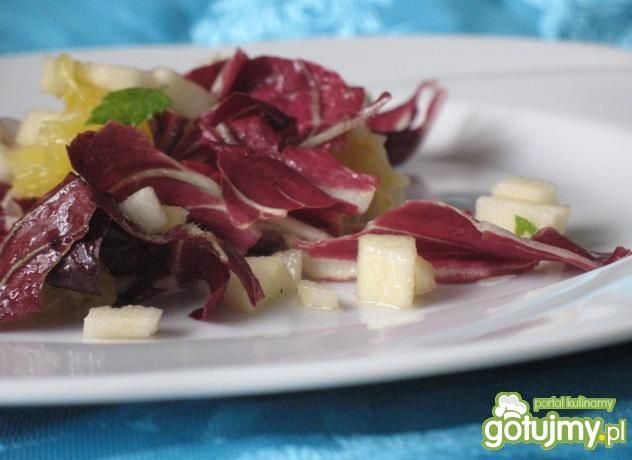 Surówka z cykorii radicchio Surówka z cykorii radicchio