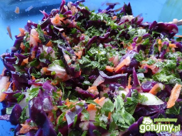 Surówka z czerwonej kapusty z olejem Surówka z czerwonej kapusty z olejem