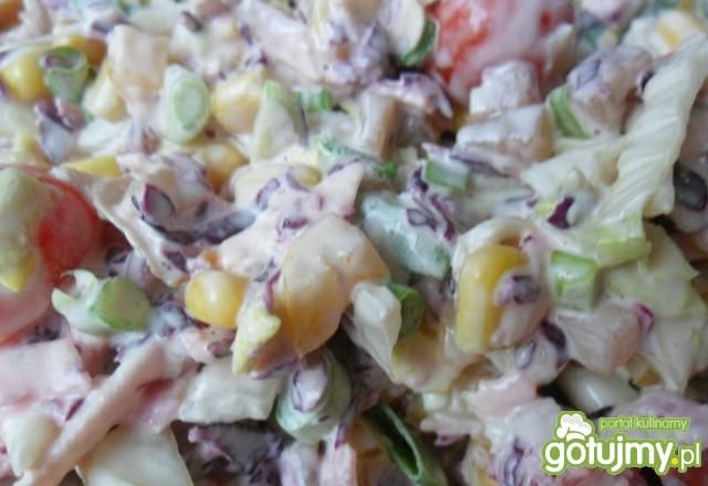 Surówka z kapusty czerwonej z papryką.