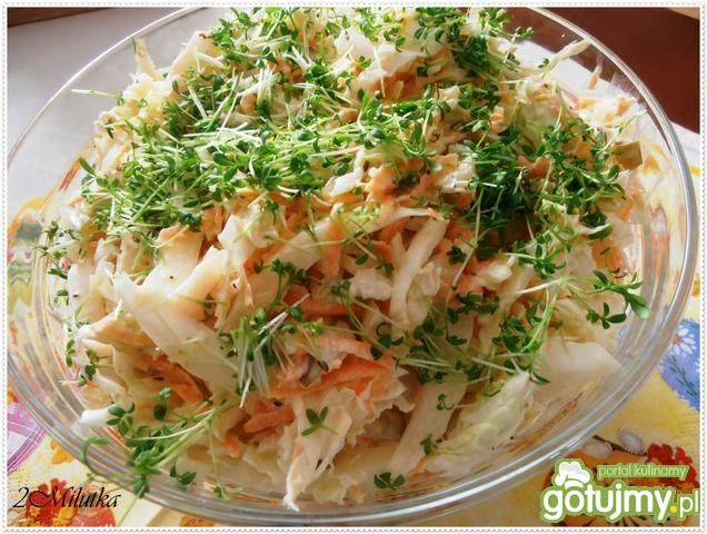 Surówka z kapusty i małosolnych ogórków Surówka z kapusty i małosolnych ogórków