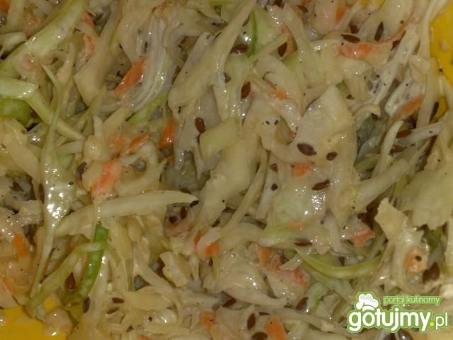 Surówka z kapusty z siemieniem lnianym Surówka z kapusty z siemieniem lnianym