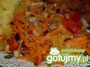 Surówka z kiszonej kapusty z papryką. Surówka z kiszonej kapusty z papryką.