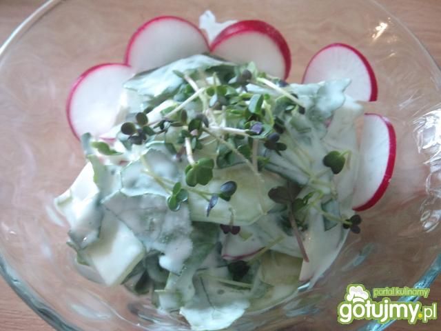 Surówka z liści rzodkiewki Surówka z liści rzodkiewki