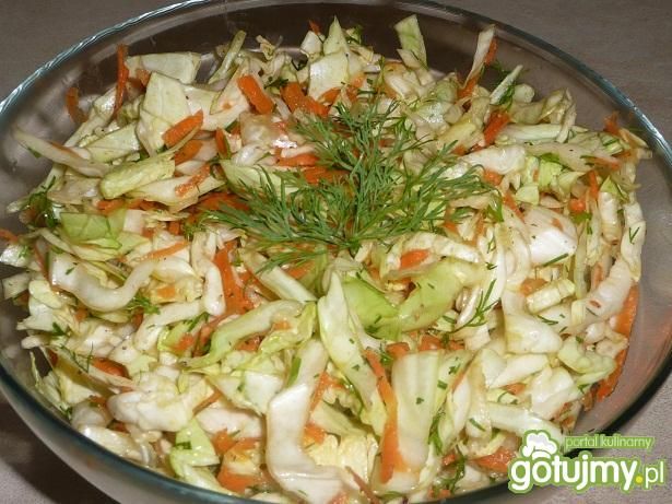 surówka z młodej białej kapusty surówka z młodej białej kapusty