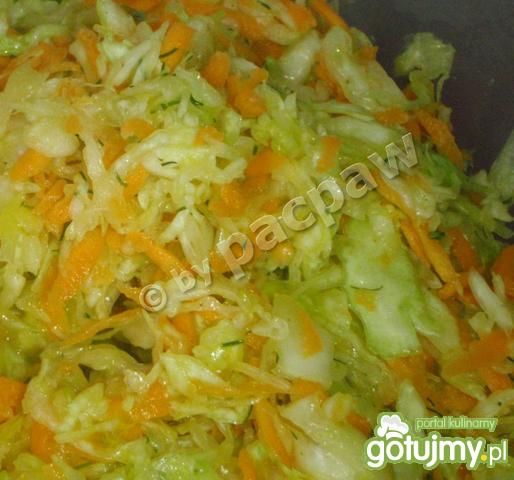 Surówka z młodej kapusty i koperku Surówka z młodej kapusty i koperku