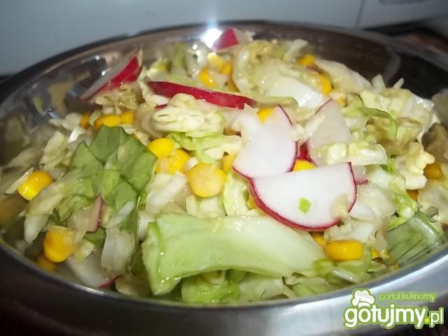 Surówka z młodej kapusty z rzodkiewką Surówka z młodej kapusty z rzodkiewką