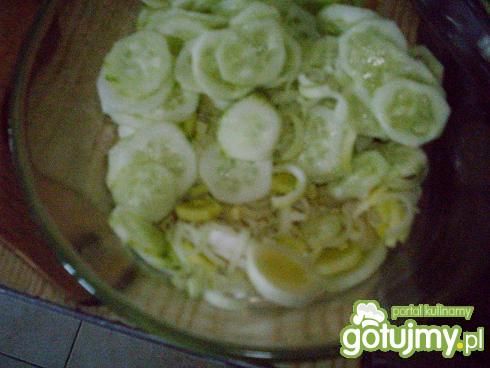 surówka z pora i ogórka surówka z pora i ogórka