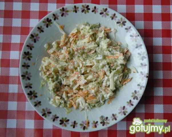 Surówka z porów i ogórka  Surówka z porów i ogórka