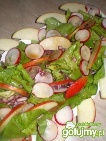 Surówka z rzodkiewek i jabłek na sałacie