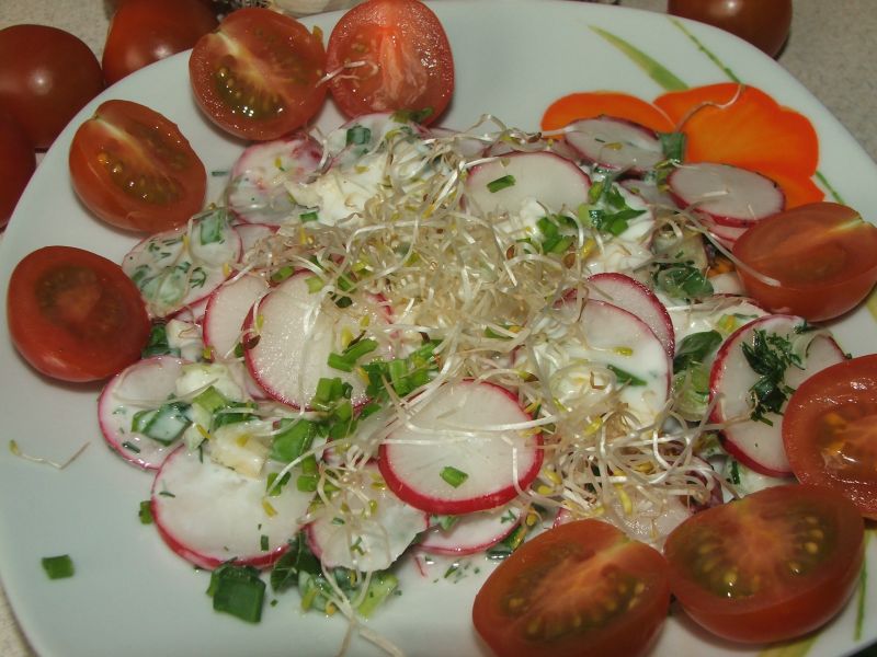 Surówka z rzodkiewką i kiełkami cebuli 