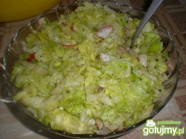 Surówka z sałaty lodowej z rzodkiewką Surówka z sałaty lodowej z rzodkiewką