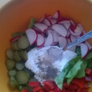 Surówka z sałaty, rzodkiewki, papryki, ogórków