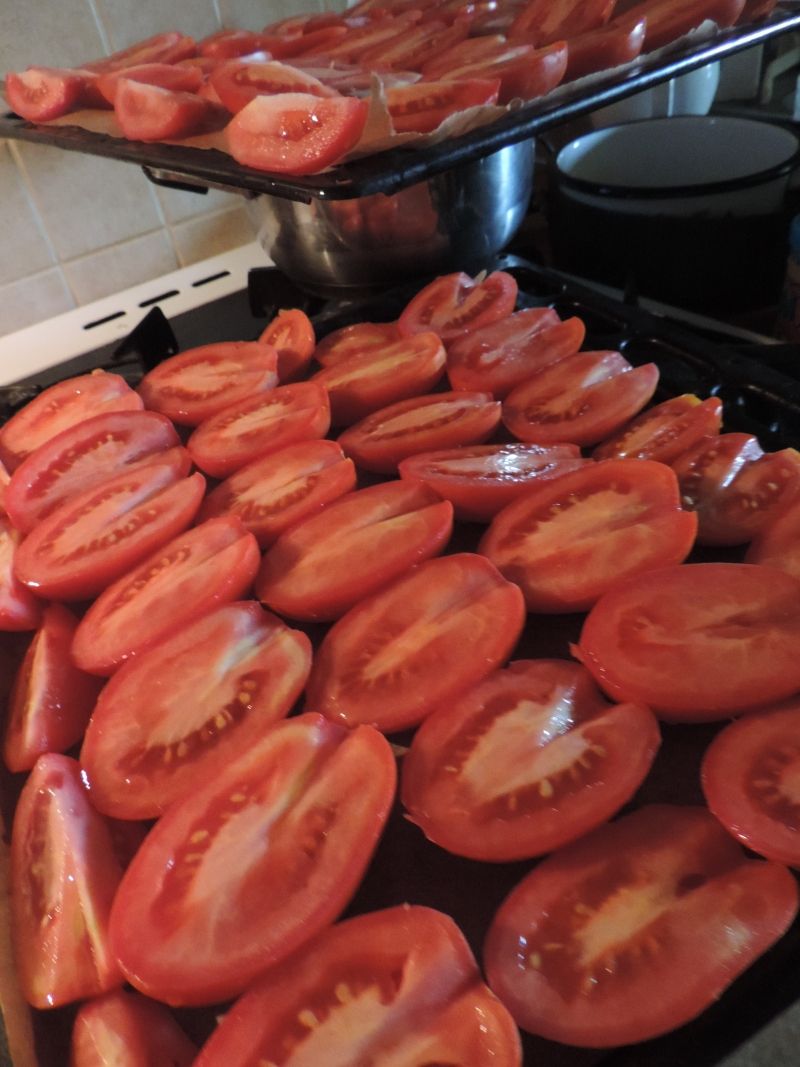 Suszone pomidory w zalewie