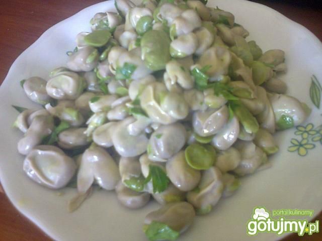 Świeży bób Kaja35 Świeży bób Kaja35