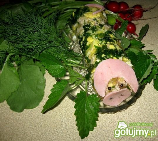 Świnka Galantynka Świnka Galantynka