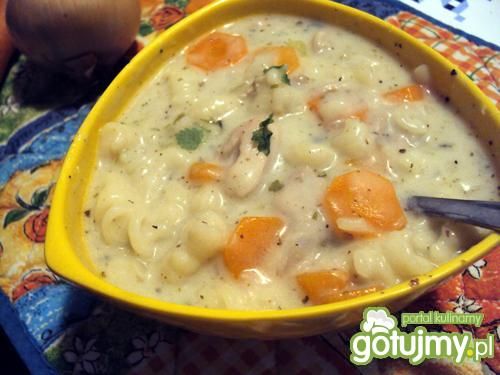 Sycąca zupa drobiowa