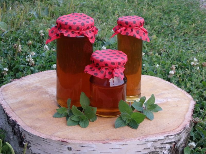 Syrop  miętowy do hrebaty i nie tylko