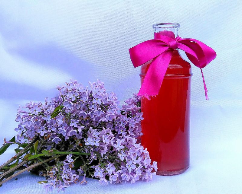 Syrop z bzu liliowego