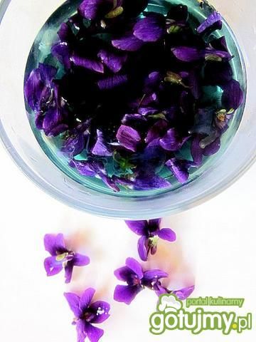 Syrop z fiołków Syrop z fiołków