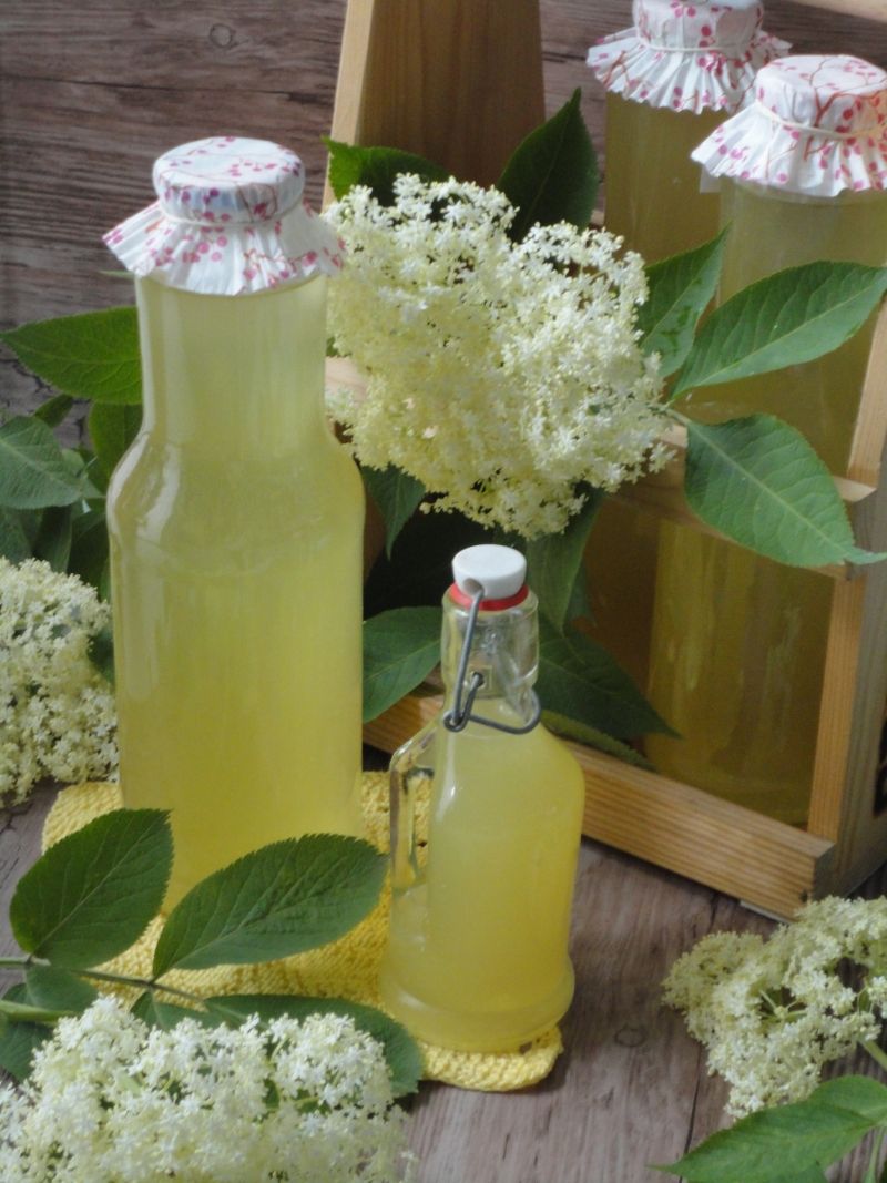 Syrop z hyćki (czarnego bzu)