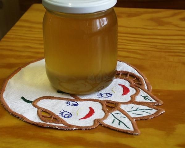 Syrop z kwiatów czarnego bzu Syrop z kwiatów czarnego bzu