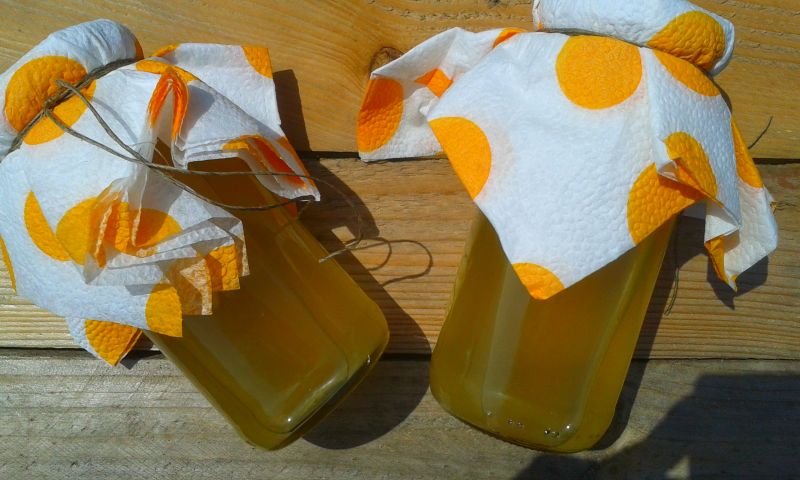 Syrop z kwiatów czarnego bzu Syrop z kwiatów czarnego bzu
