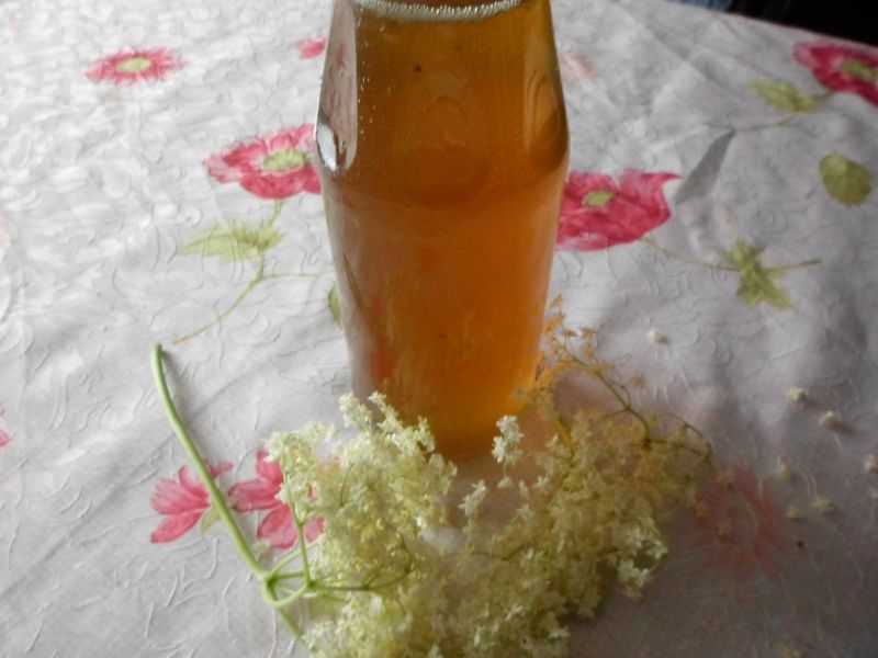 Syrop z kwiatów czarnego bzu Syrop z kwiatów czarnego bzu