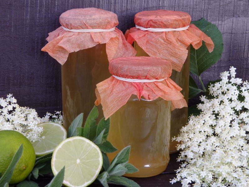 Syrop z kwiatów czarnego bzu Syrop z kwiatów czarnego bzu