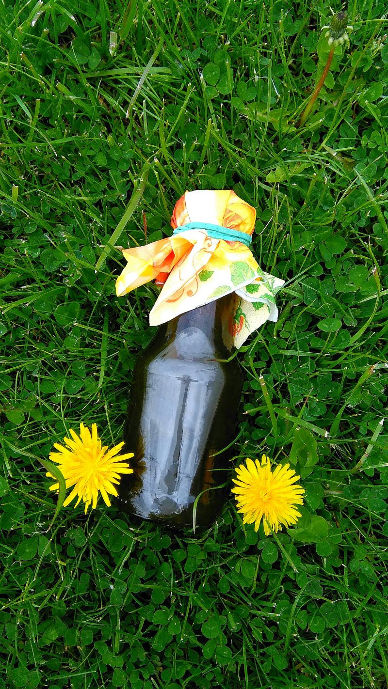 Syrop z kwiatów mniszka lekarskiego Syrop z kwiatów mniszka lekarskiego